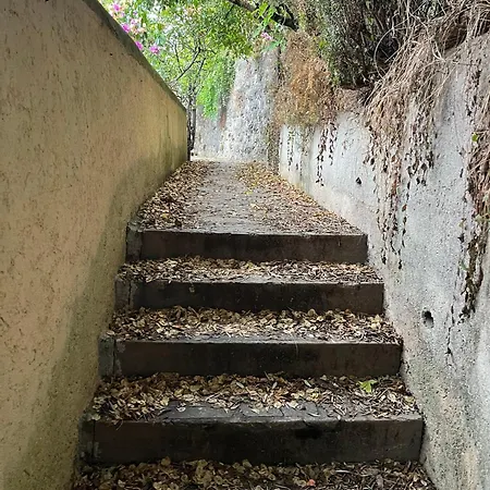 Casa Ileana